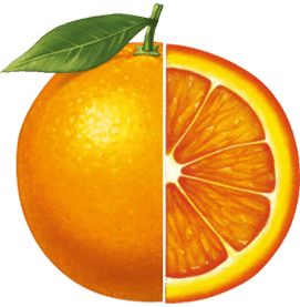 Fruits orange 2