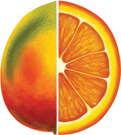 Mangue Orange